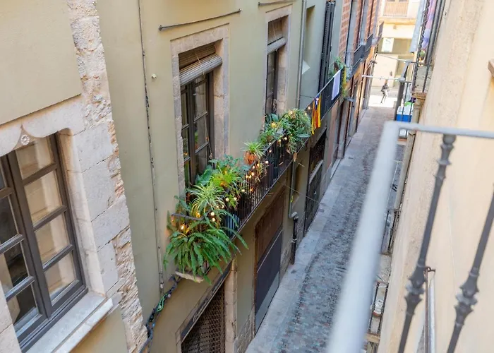 Flateli Cort Reial 10